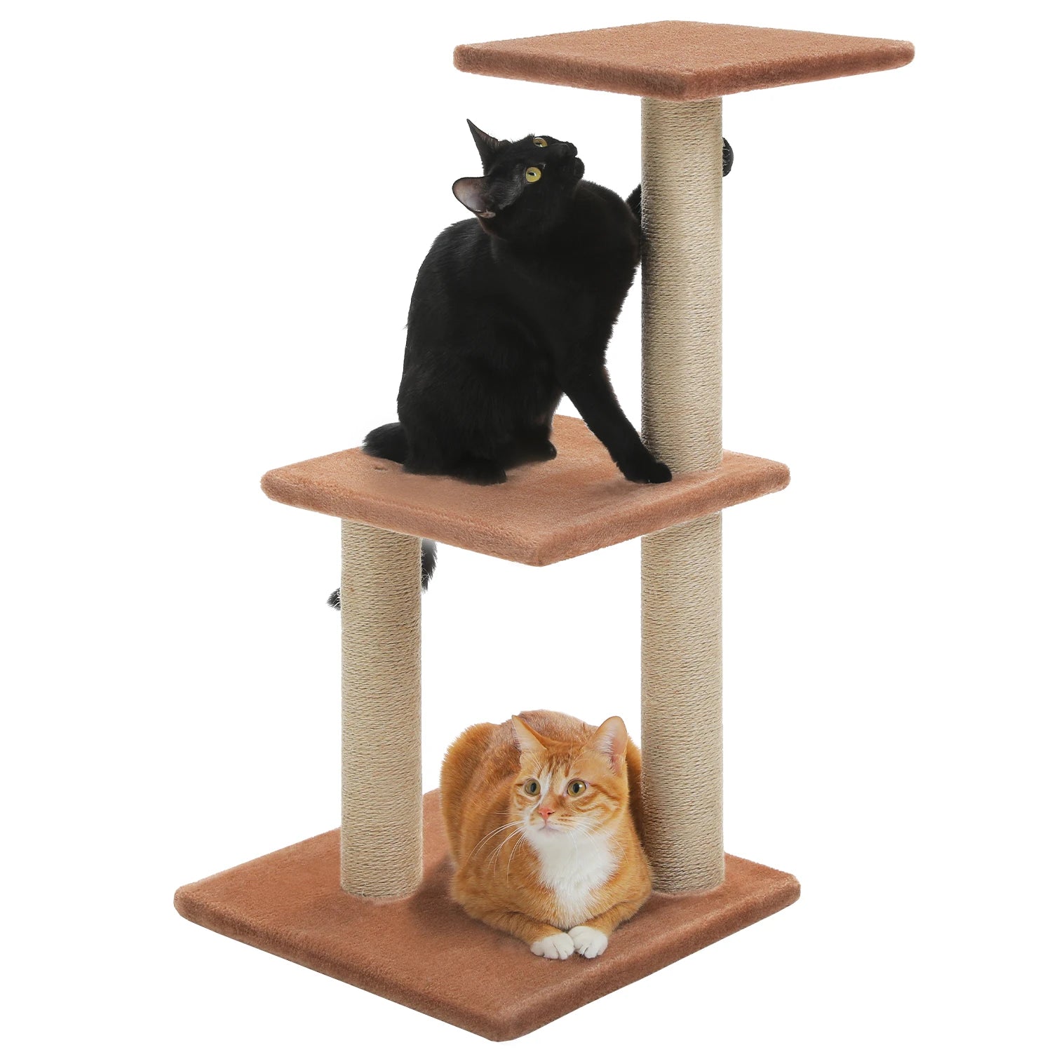 Torre per gatti