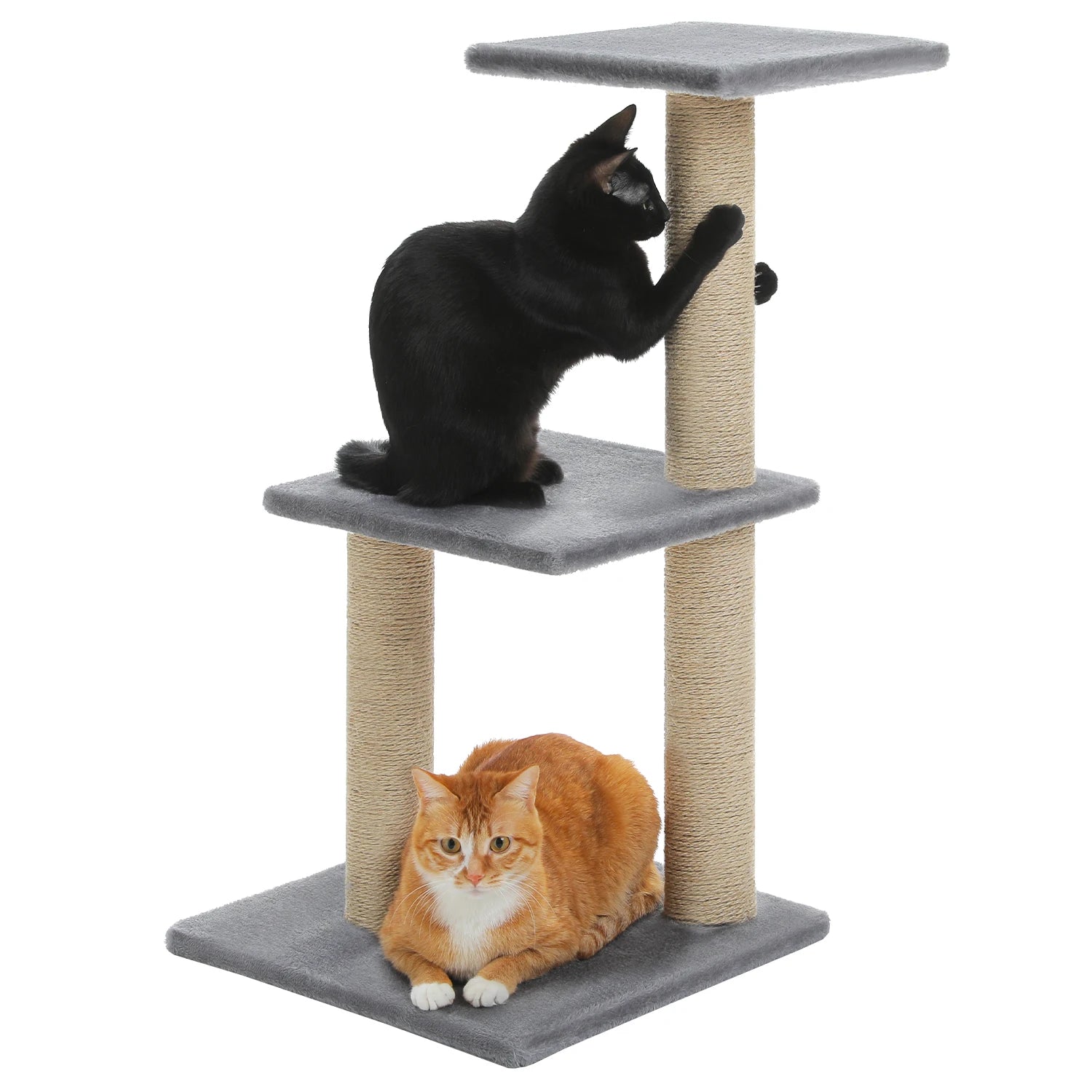 Torre per gatti