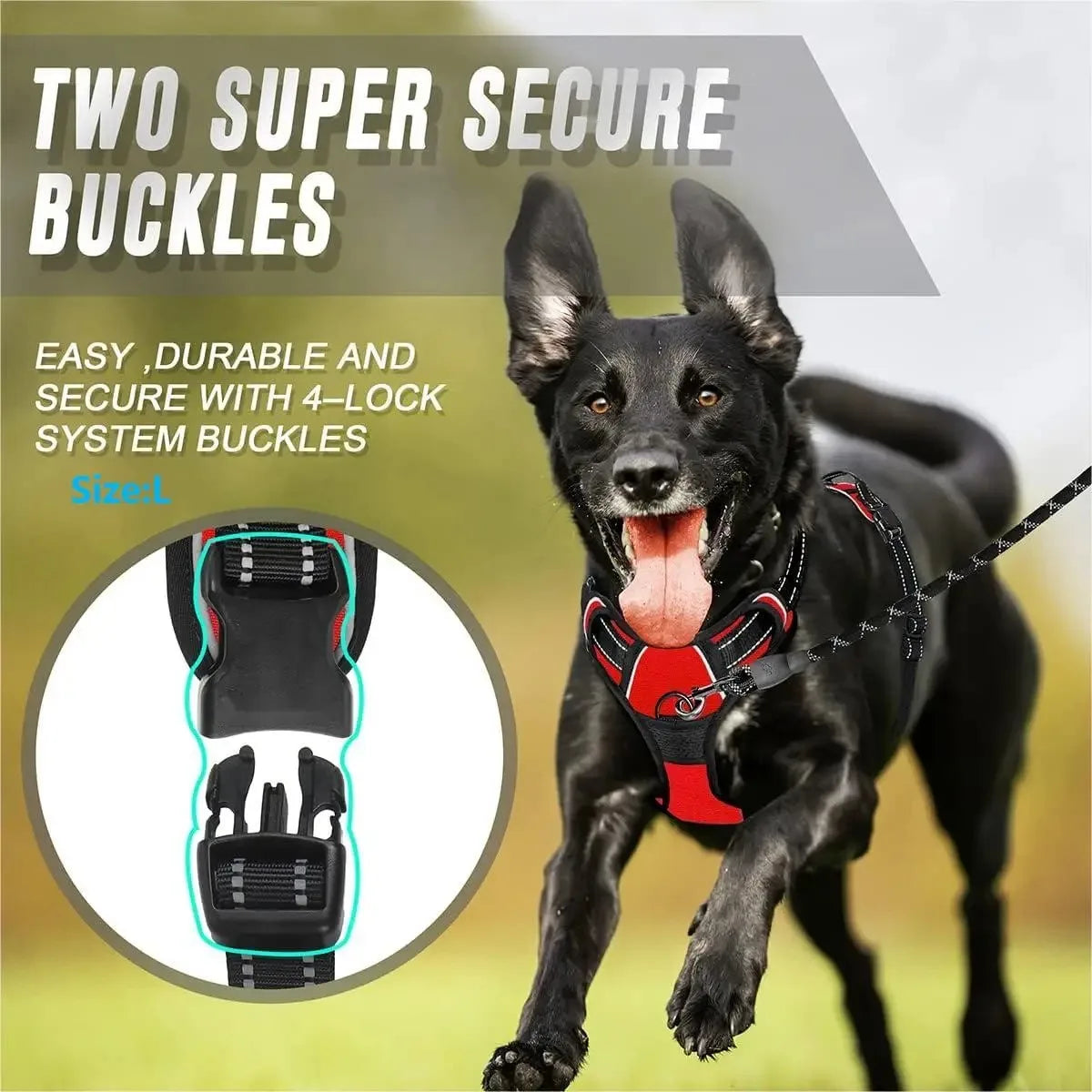 Pettorina a Gilet per Cani – BeiYu Pet | Tutte le Taglie