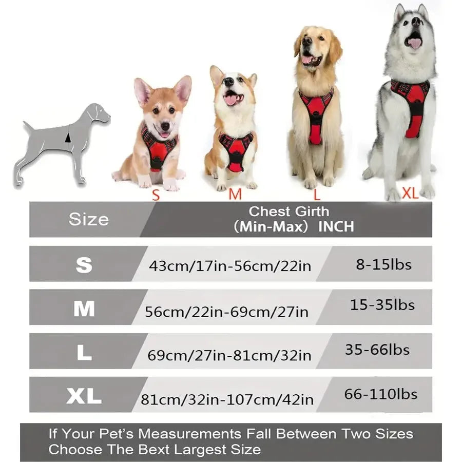 Pettorina a Gilet per Cani – BeiYu Pet | Tutte le Taglie