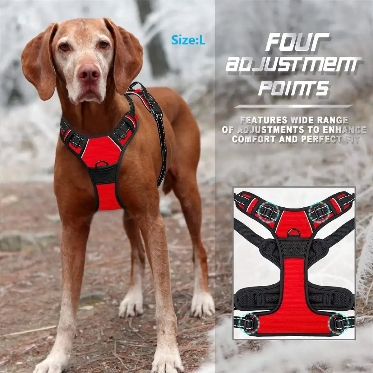 Pettorina a Gilet per Cani – BeiYu Pet | Tutte le Taglie