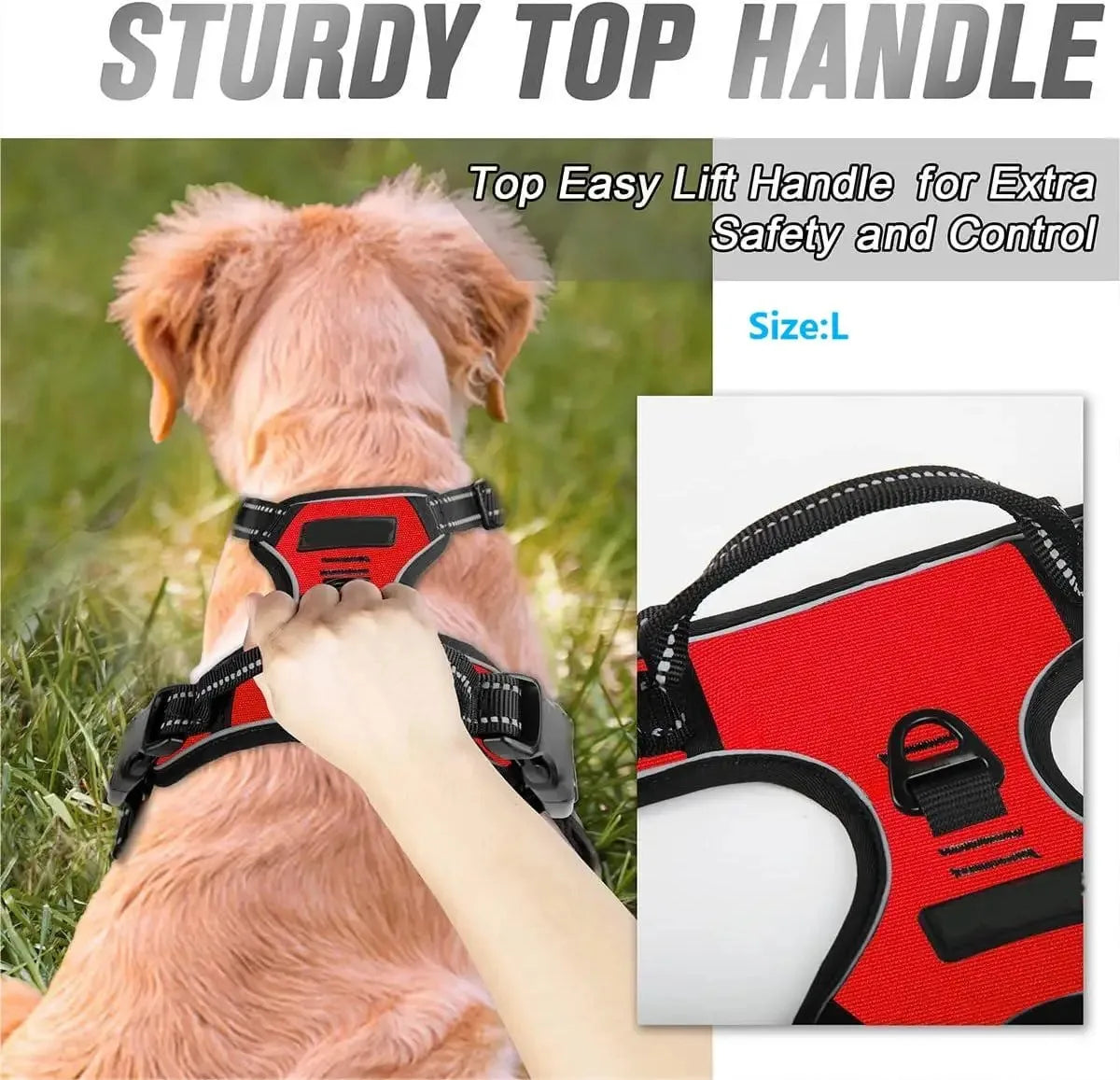Pettorina a Gilet per Cani – BeiYu Pet | Tutte le Taglie